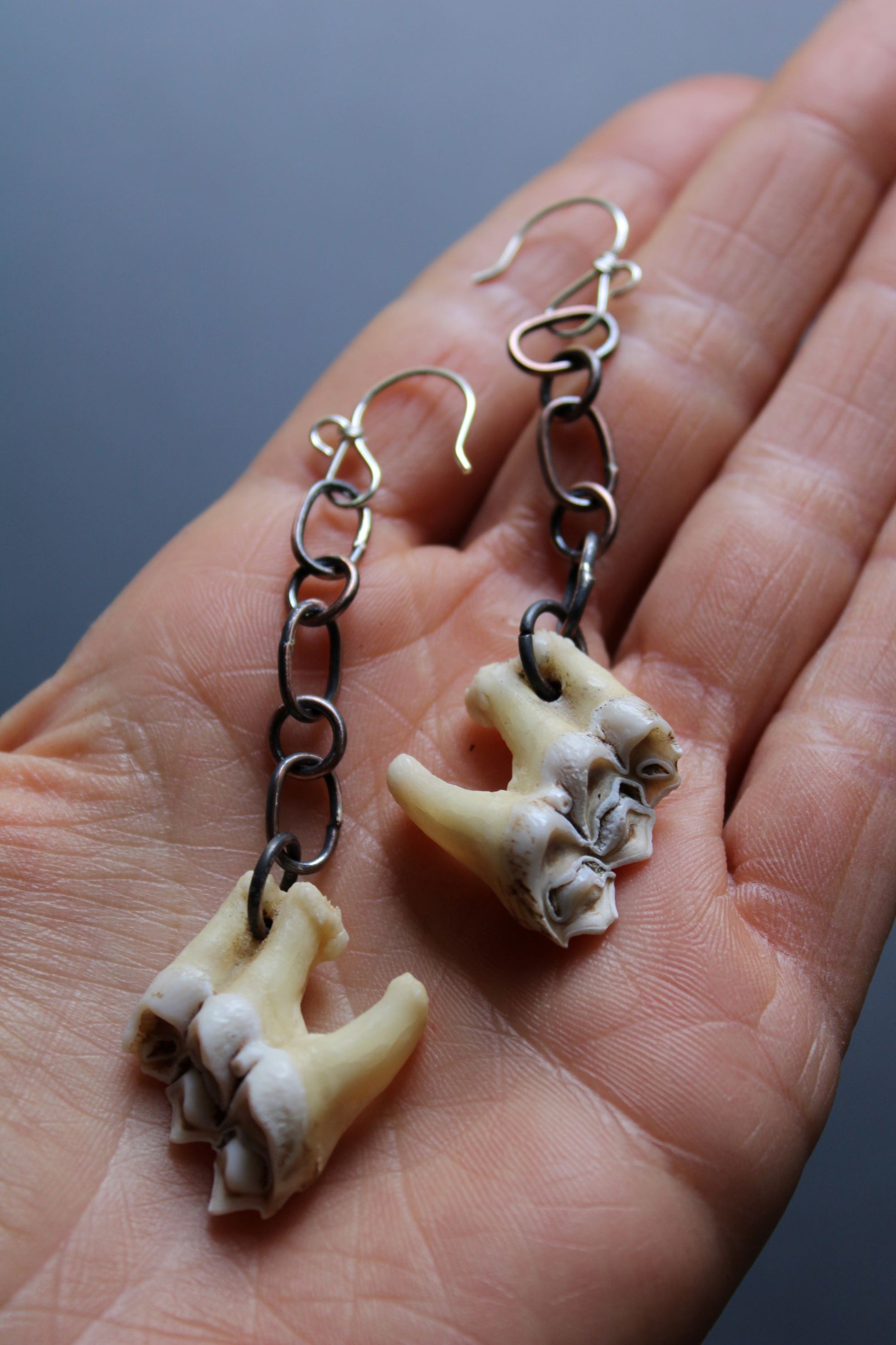 post apocalyptic earth, ear necklace, necklace of apocalypse now, apocalyptic bone jewelry, post apocalyptic jewelry, one of a kind bone jewelry, one of a kind bone earrings, one of a kind bone earrings jewelry,  Cruelty free bone jewelry, handmade bone jewelry, taxidermy jewelry, forest collected bone, forest collected bone jewelry, collection bone jewelry