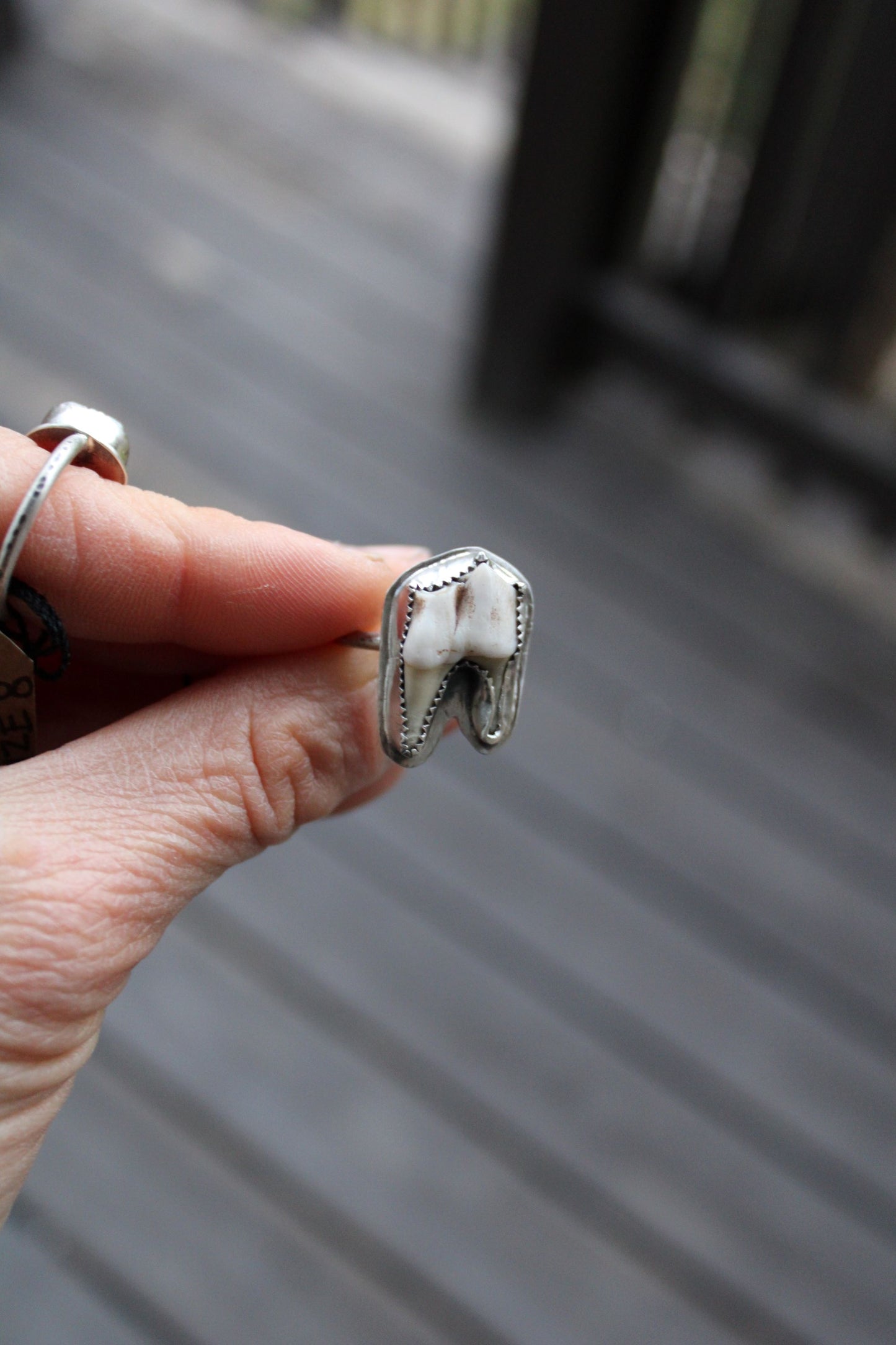 deer tooth ring, real animal bone, ethically sourced bone, oddities ring, taxidermy art