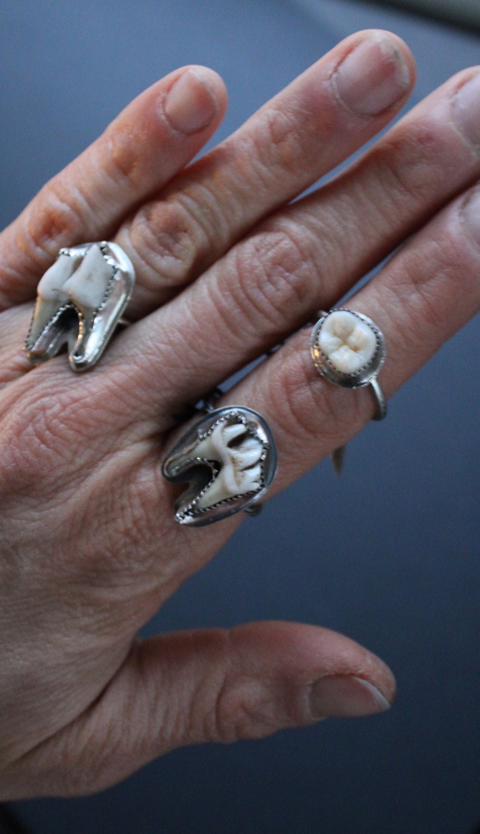 deer tooth ring, ethically sourced bone ring, real animal bone, oddities ring, taxidermy art