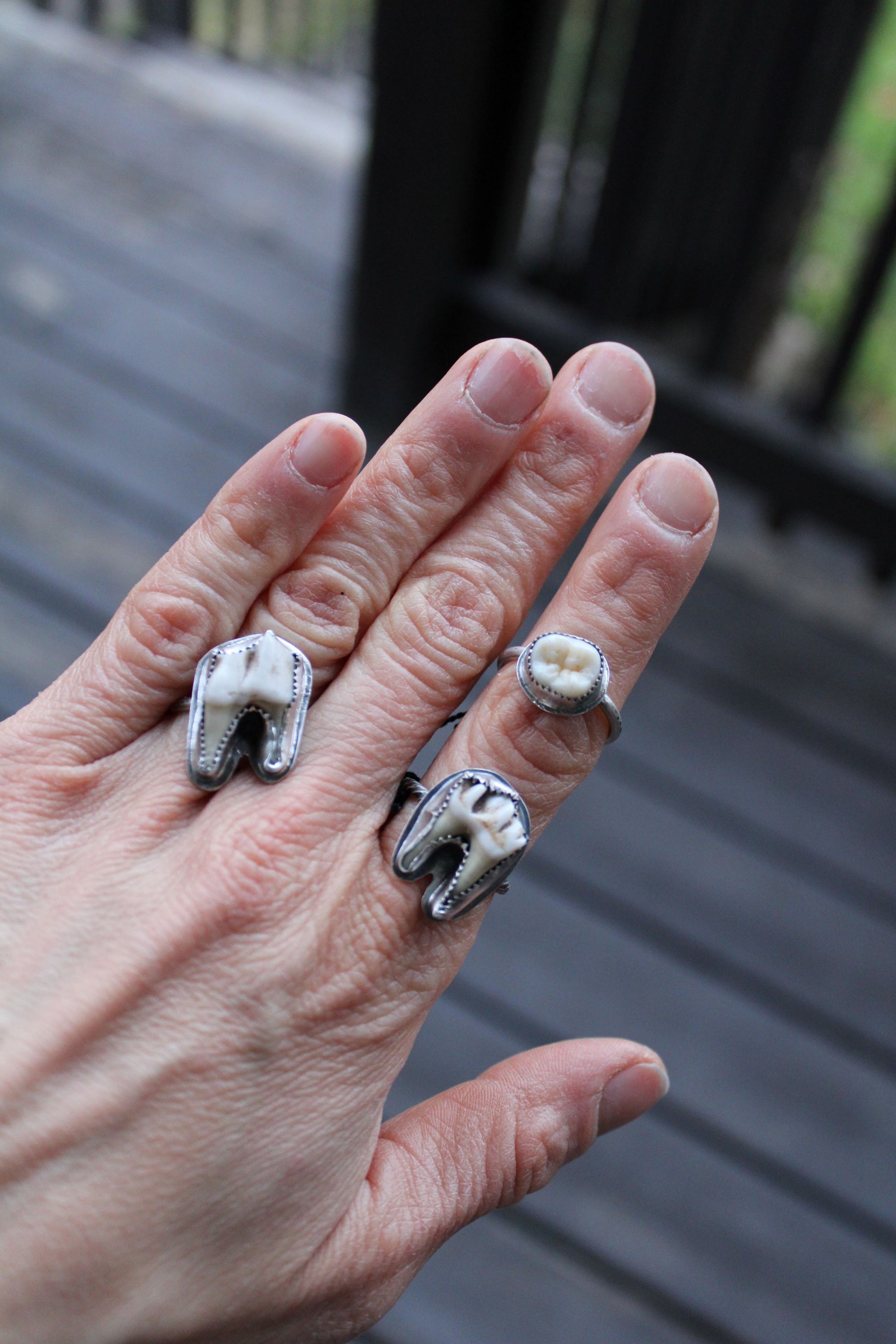 deer tooth ring, real animal bone, ethically sourced bone, oddities ring, taxidermy art