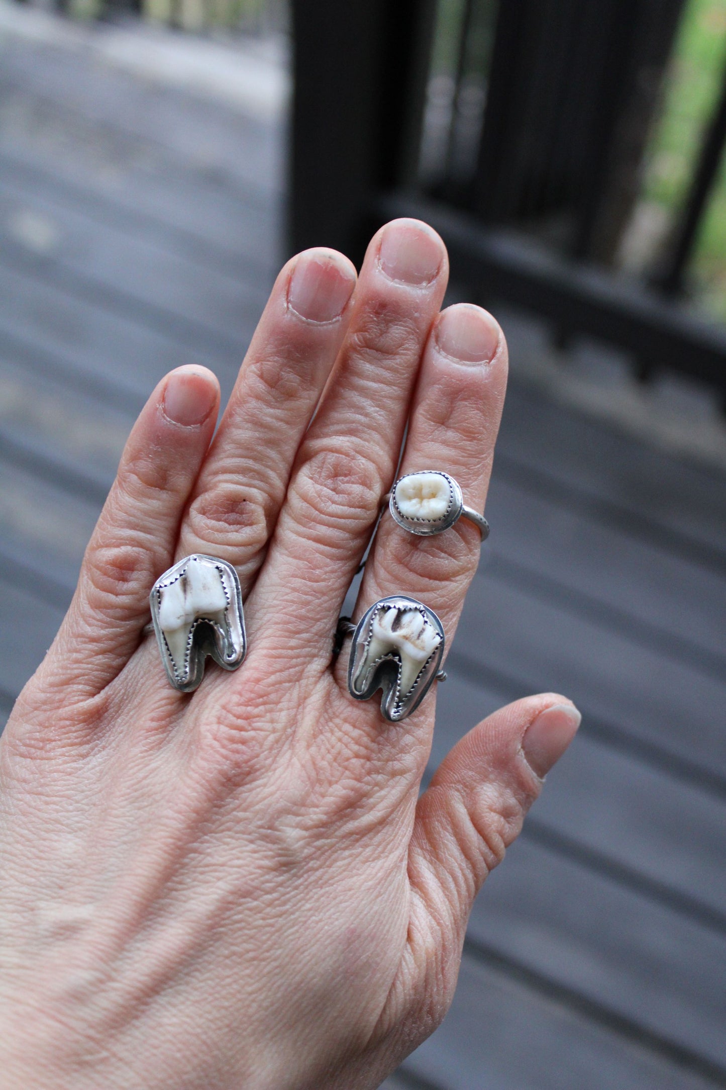 real wisdom tooth ring, oddities ring, human tooth, human tooth jewelry, taxidermy jewelry
