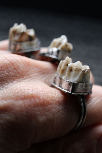 Ring sale with teeth