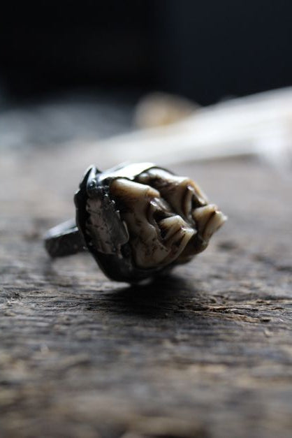 custom order tooth ring, oddities jewelry, vulture culture,  taxidermy art, deer tooth ring, ethically sourced bone jewelry