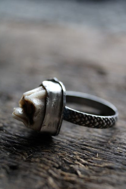 custom order tooth ring, oddities jewelry, vulture culture, taxidermy art, deer tooth ring, ethically sourced bone jewelry