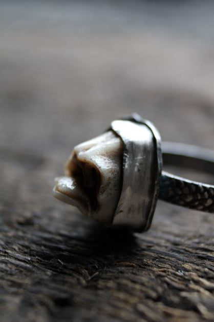 custom order tooth ring, oddities jewelry, vulture culture, taxidermy art, deer tooth ring, ethically sourced bone jewelry